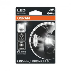 OSRAM 6497 CW - BLI1 Світлодіодні лампи premium - 12V 1W 31mm (SV8,5)