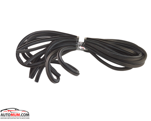 ASR SE350031+SE350032 Ущільнювач дверей к-т 4 шт. (2101-07)