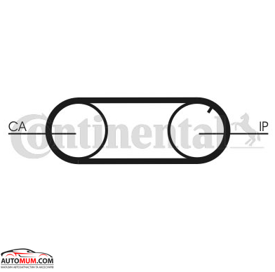 Ремінь ГРМ CONTI CT641/ DAYCO 94090 (Audi,Volkswagen,Volvo)